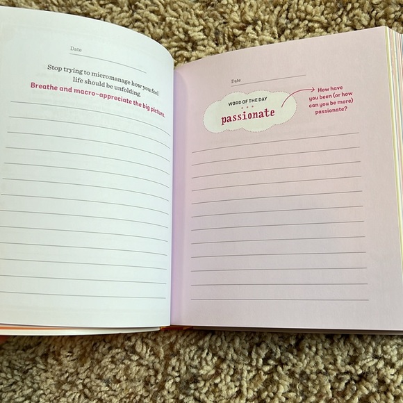 BNWT “Instant Happy Journal: 365 days of inspiration, gratitude, and joy” book - Picture 3 of 5